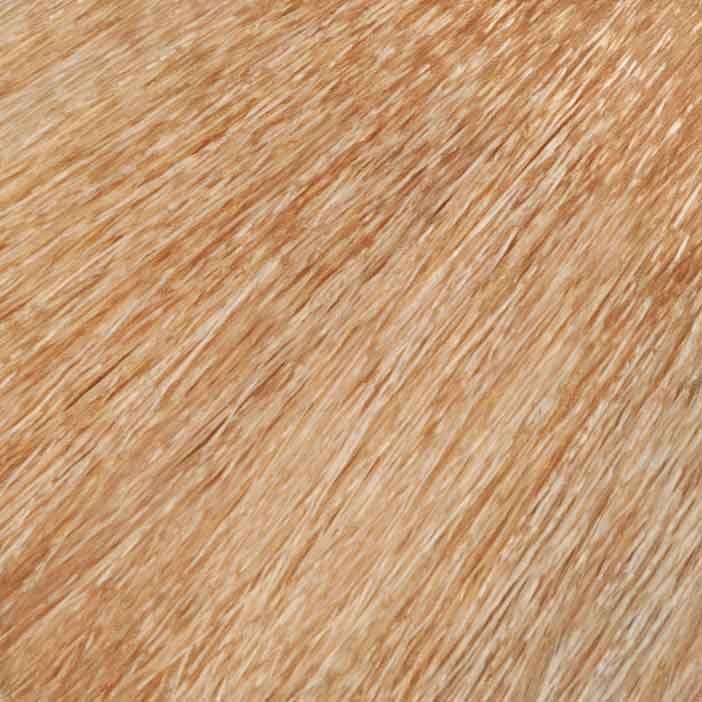 Профессиональные краски для волос:  URBAN KERATIN -  Крем- краска URBAN KERATIN URBAN COLOR AMMONIA FREE 9.31 Очень светлый блондин золотистый пепельный  (100 мл)